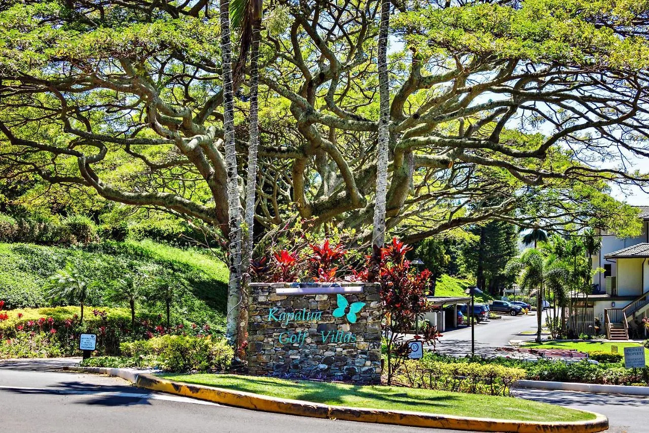 Kapalua Golf Villa 20V 3 Kahana United States