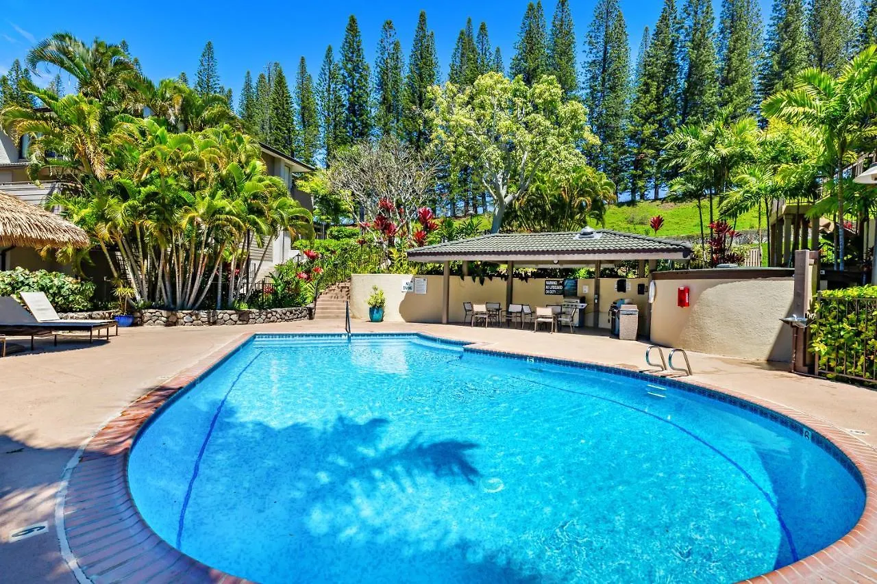 Kapalua Golf Villa 20V 3 Kahana